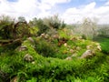 Bright young greenery and ancient ruins ÃËÃâ the Britannia Park